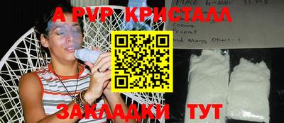 спиды Аргун