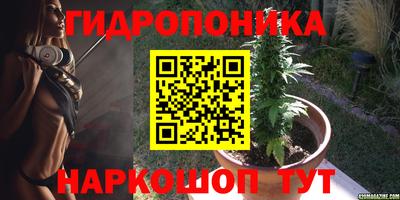 дурь Жуковский
