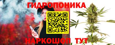 спиды Аргун