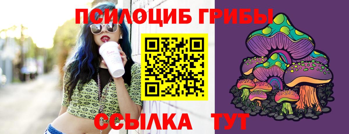 Великий Новгород  Галлюциногенные грибы мухоморы  Вход с VPN  купить  цена  Галлюциногенные грибы мицелий 