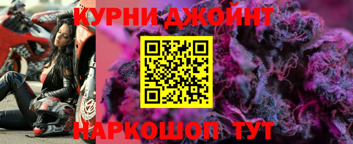 ГАШ Великий Новгород